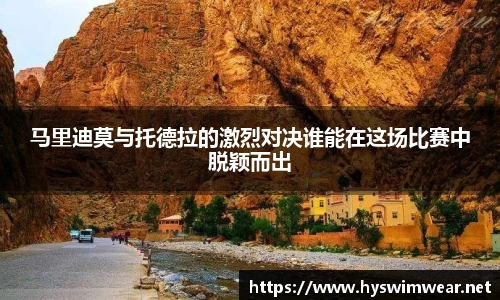 马里迪莫与托德拉的激烈对决谁能在这场比赛中脱颖而出